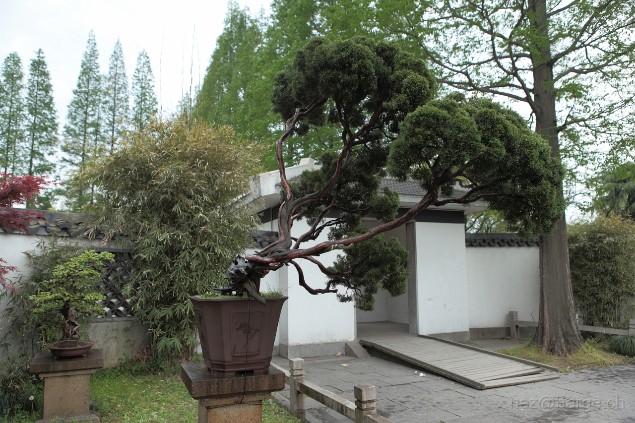 EOS 5D Mark II16_04_20135077.JPG